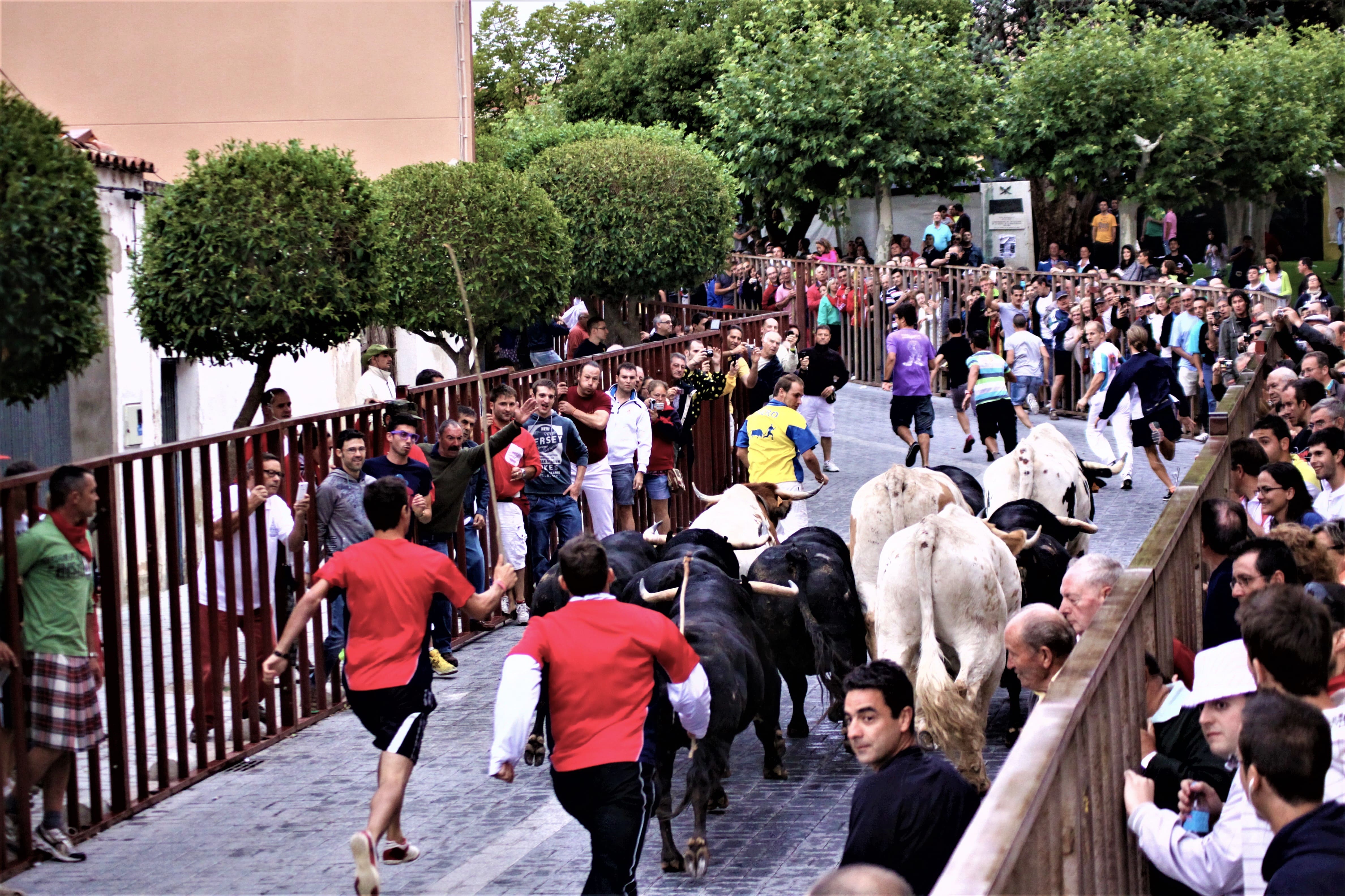 Encierros