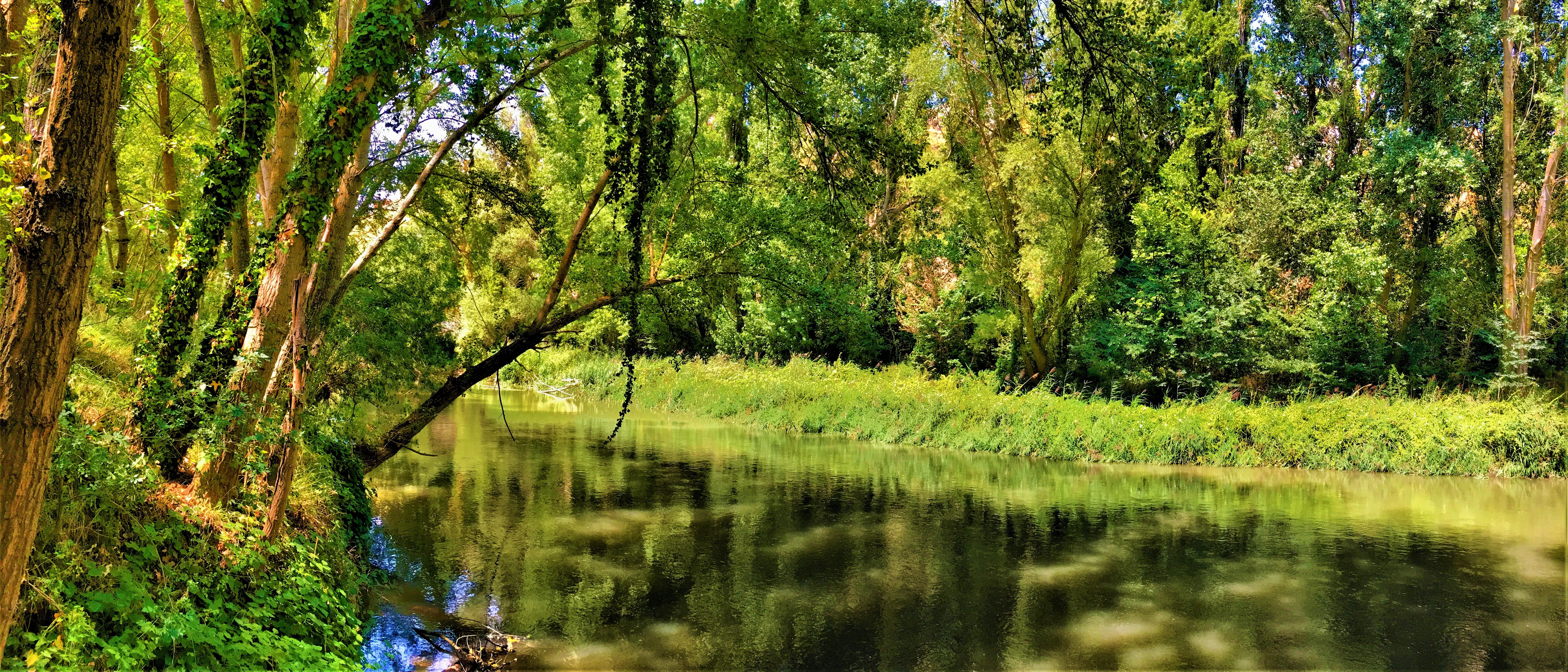 rio Duero