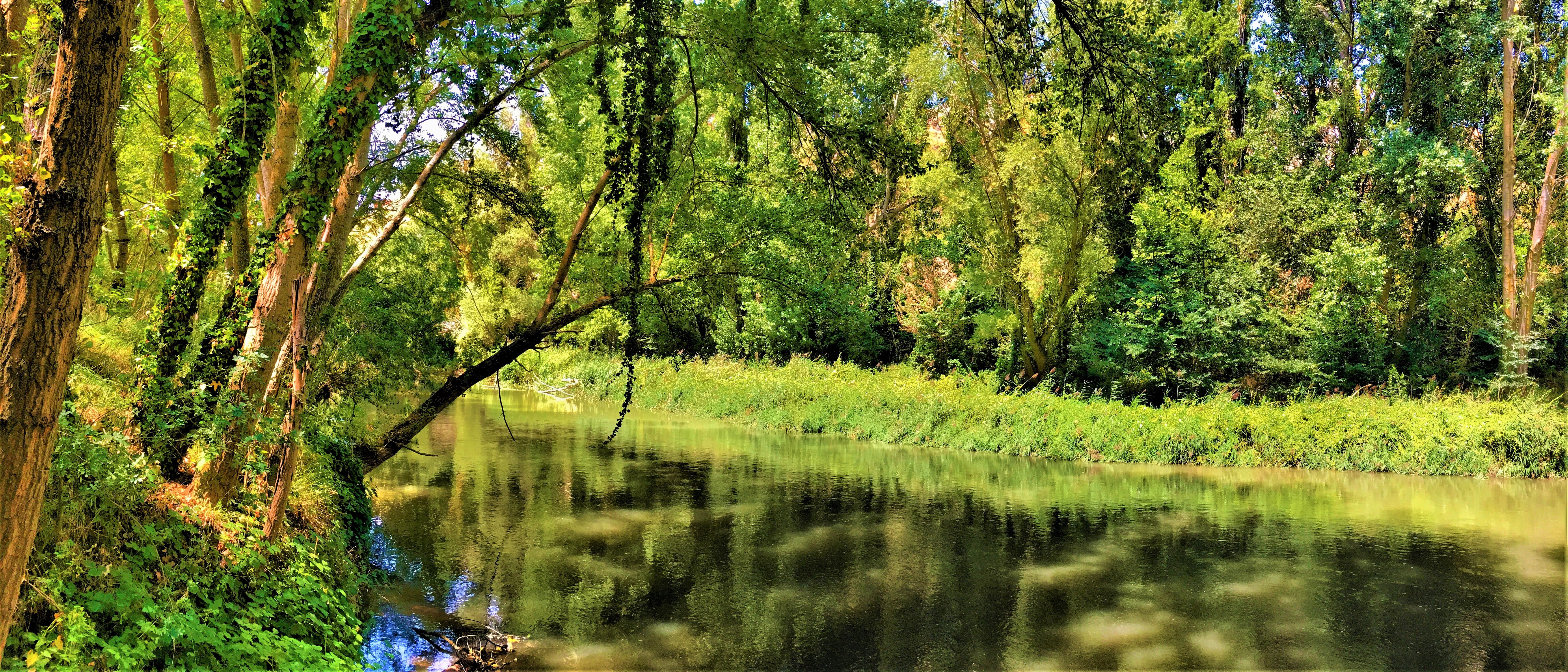 río