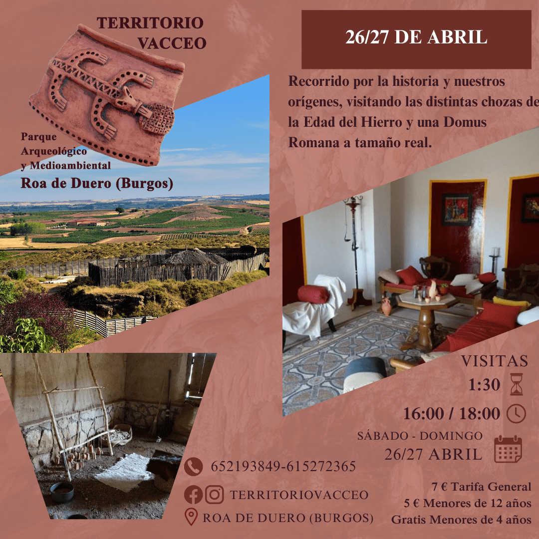 ACTIVIDADES RAUDA VACCEA