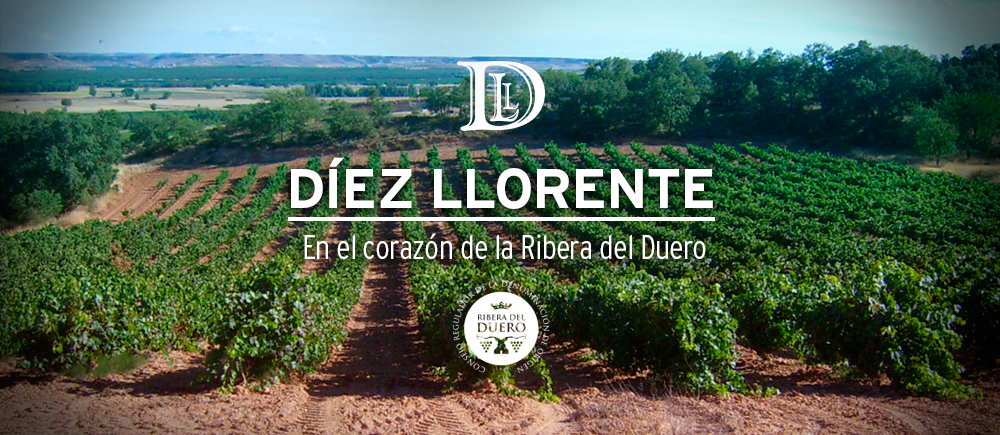 Bodegas Díez Llorente