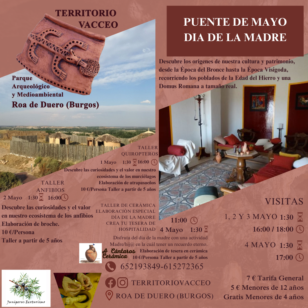 ACTIVIDADES PARQUE ARQUEOLÓGICO, PUENTE DE MAYO