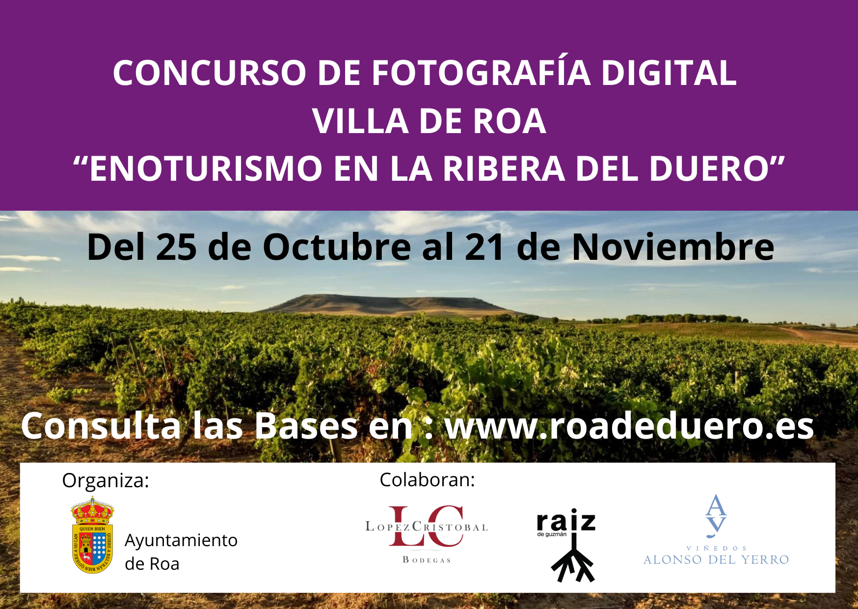 concurso fotografía