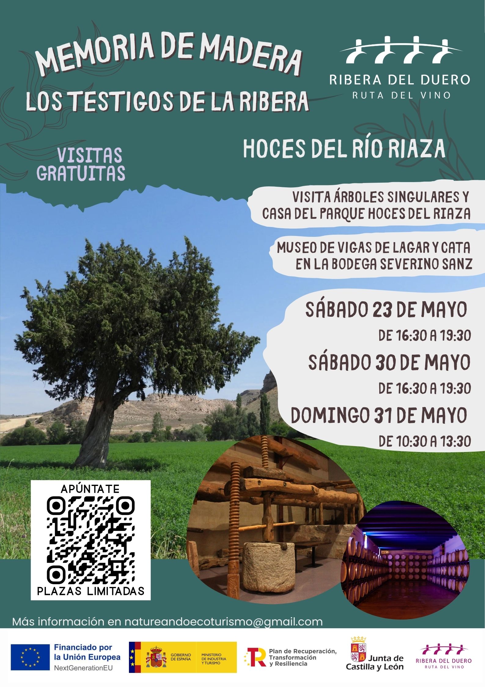 cartel