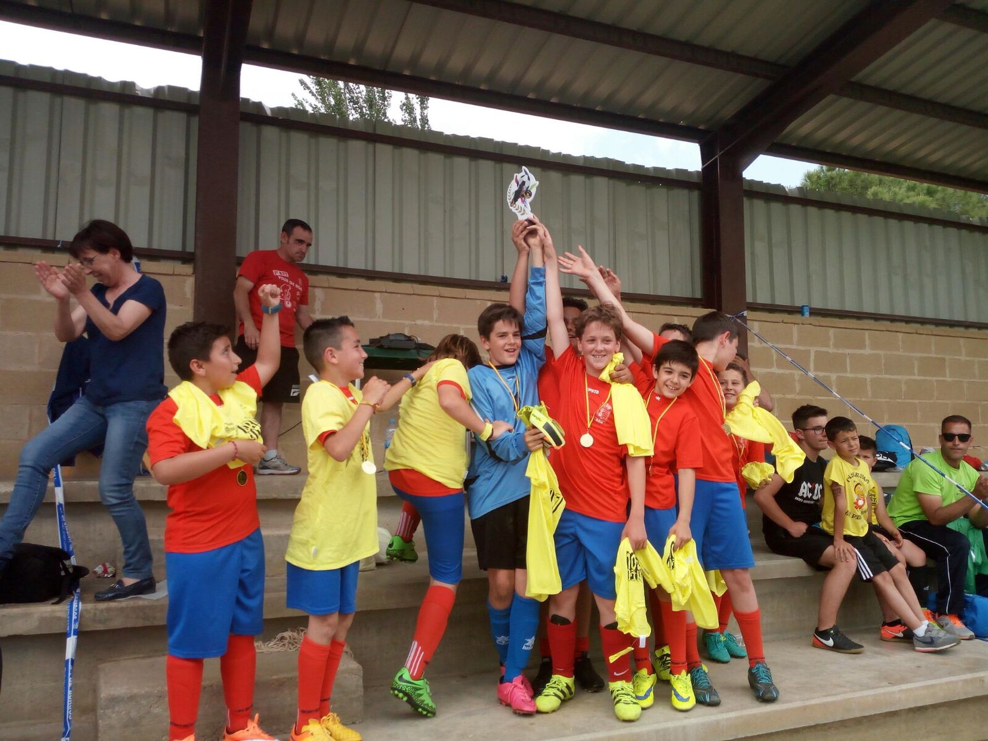 CIRCUITO PROVINCIAL DE FÚTBOL 7. X TORNEO DE ROA DE DUERO