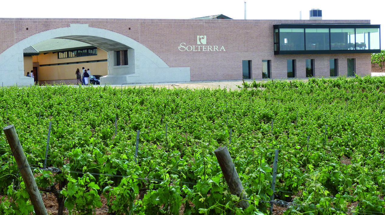 Compañía Vitivinícola Solterra